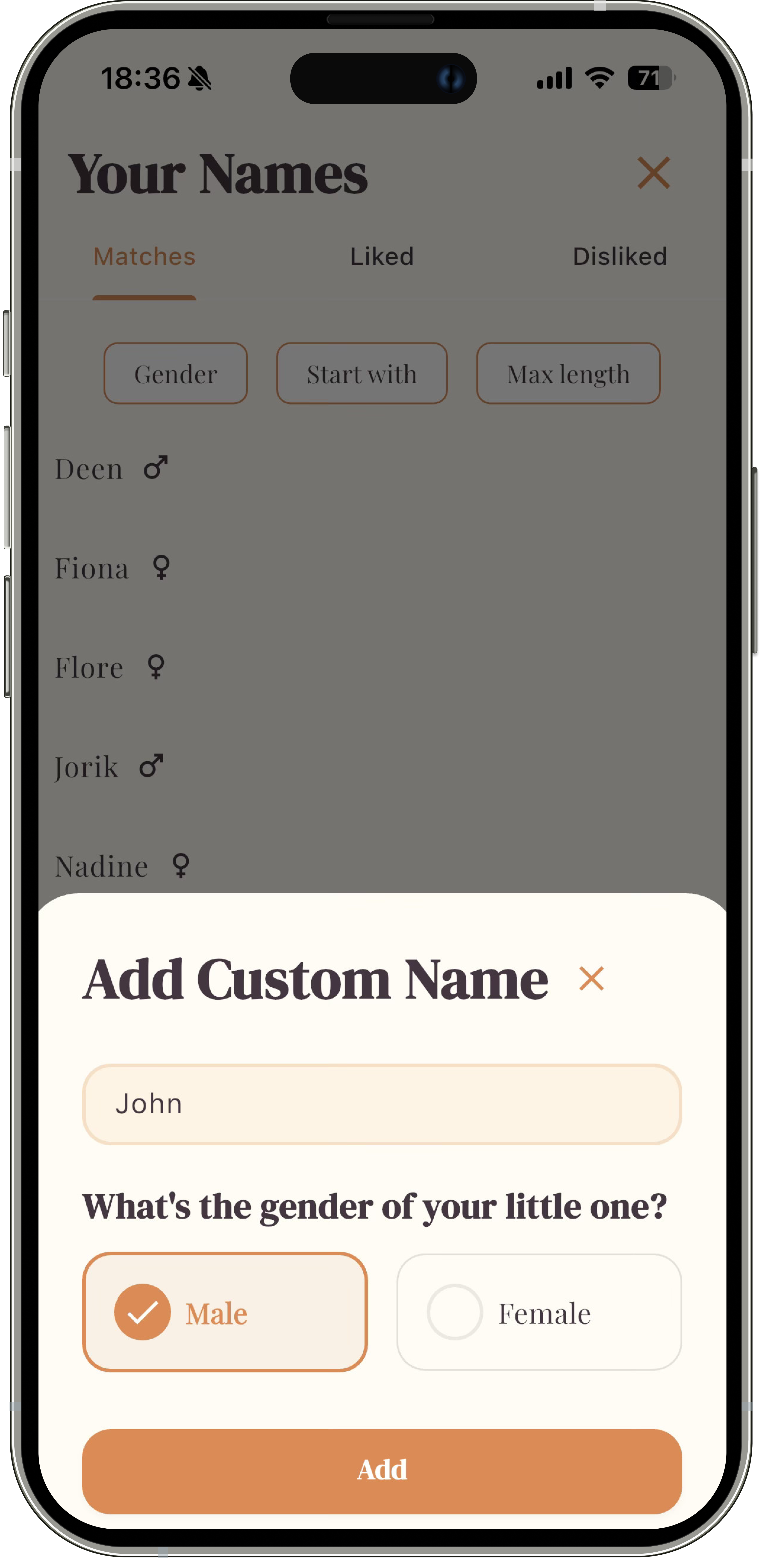 Name Stories Feature